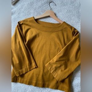 Everlane luxe cotton crop tee